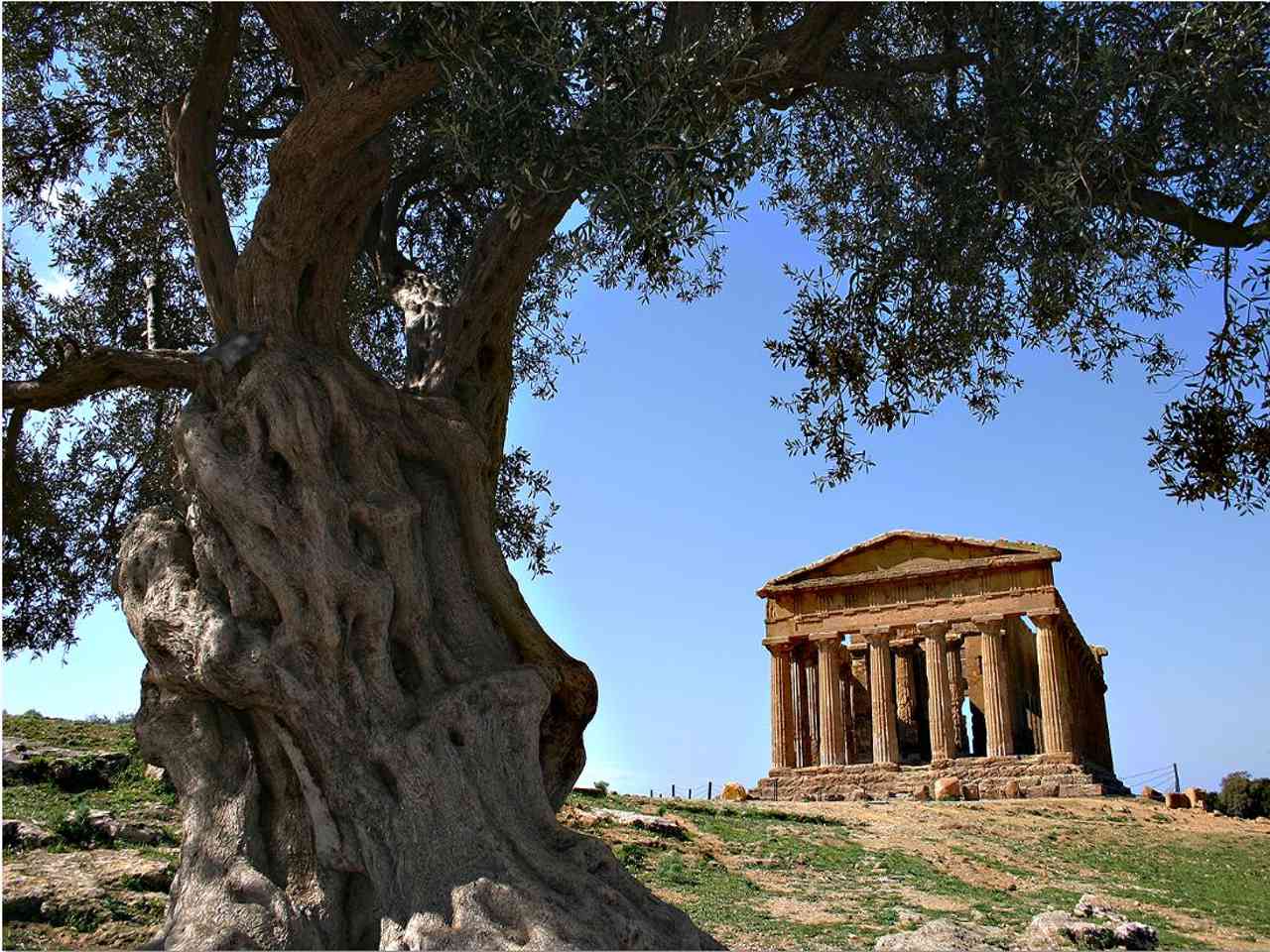 cosa fare ad agrigento